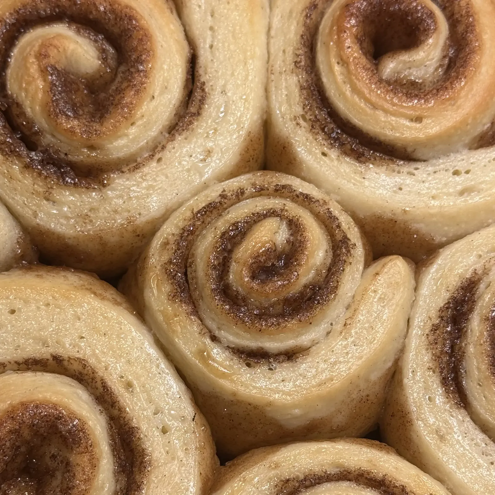 Close-up of tightly swirled cinnamon rolls
